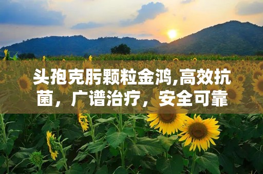 头孢克肟颗粒金鸿,高效抗菌，广谱治疗，安全可靠