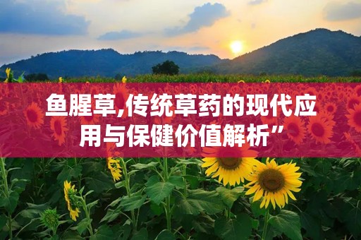 鱼腥草,传统草药的现代应用与保健价值解析”