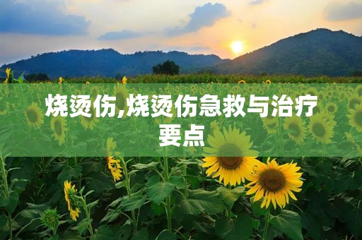 烧烫伤,烧烫伤急救与治疗要点