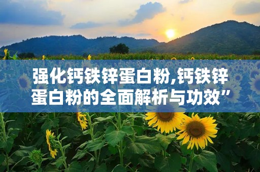 强化钙铁锌蛋白粉,钙铁锌蛋白粉的全面解析与功效”
