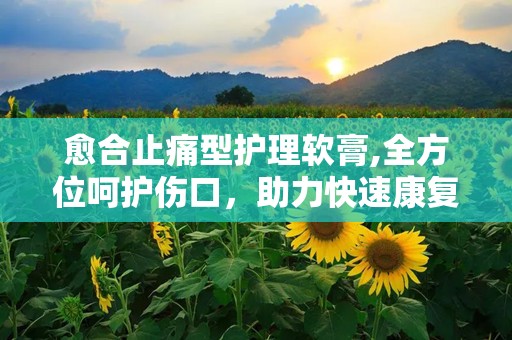 愈合止痛型护理软膏,全方位呵护伤口，助力快速康复
