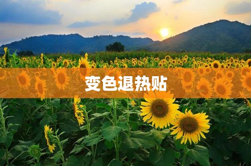 变色退热贴