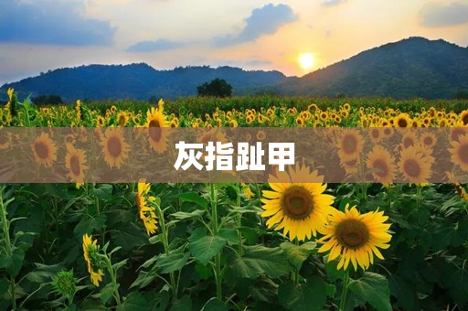 灰指趾甲