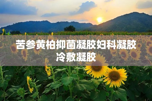 苦参黄柏抑菌凝胶妇科凝胶冷敷凝胶