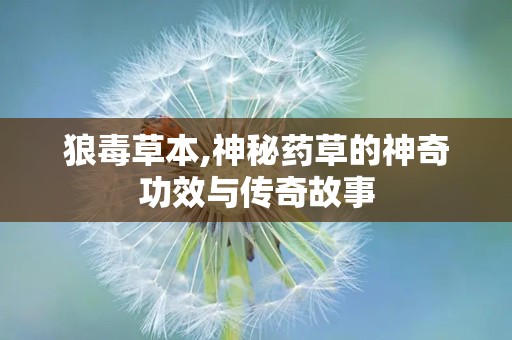 狼毒草本,神秘药草的神奇功效与传奇故事