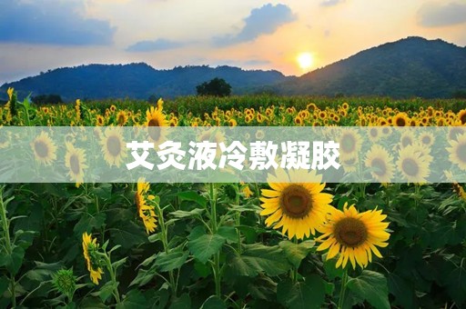 艾灸液冷敷凝胶
