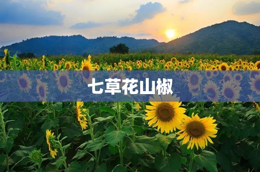 七草花山椒