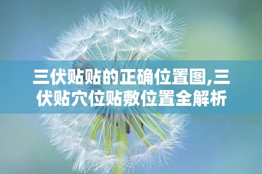 三伏贴贴的正确位置图,三伏贴穴位贴敷位置全解析