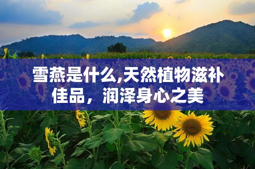 雪燕是什么,天然植物滋补佳品，润泽身心之美