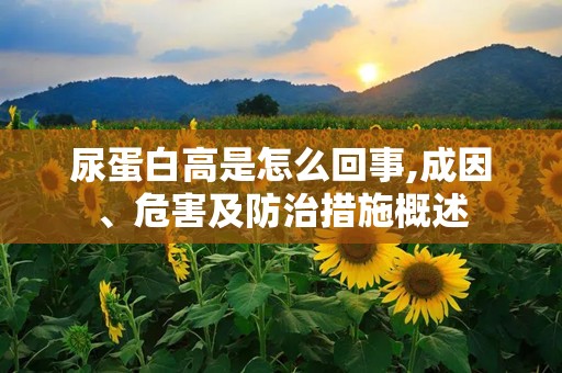尿蛋白高是怎么回事,成因、危害及防治措施概述