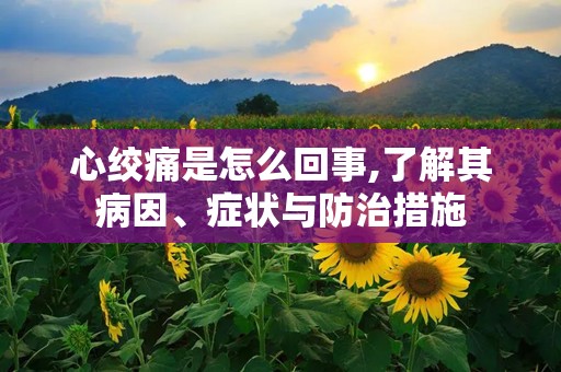 心绞痛是怎么回事,了解其病因、症状与防治措施