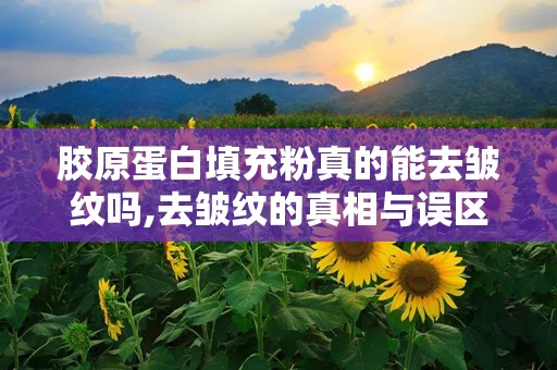 胶原蛋白填充粉真的能去皱纹吗,去皱纹的真相与误区