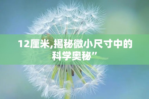 12厘米,揭秘微小尺寸中的科学奥秘”