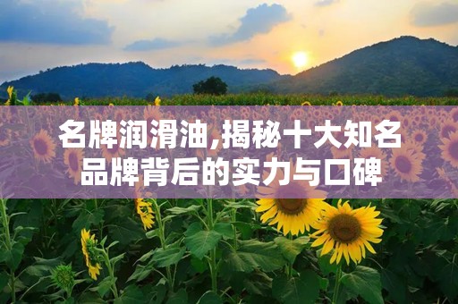 名牌润滑油,揭秘十大知名品牌背后的实力与口碑