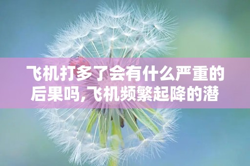 飞机打多了会有什么严重的后果吗,飞机频繁起降的潜在严重后果揭秘