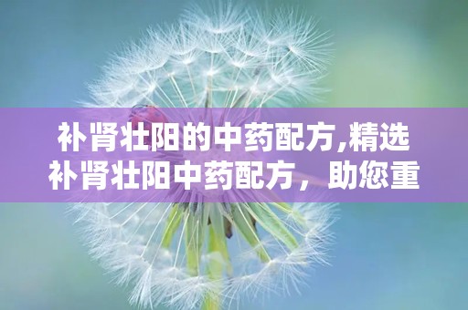 补肾壮阳的中药配方,精选补肾壮阳中药配方，助您重拾活力与健康”