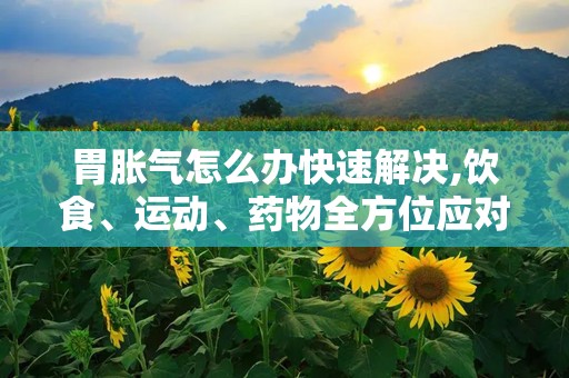 胃胀气怎么办快速解决,饮食、运动、药物全方位应对