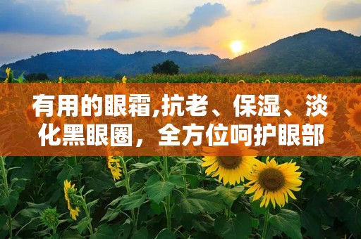 有用的眼霜,抗老、保湿、淡化黑眼圈，全方位呵护眼部肌肤