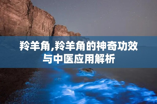 羚羊角,羚羊角的神奇功效与中医应用解析