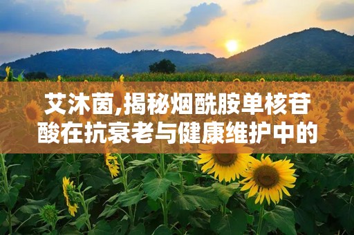 艾沐茵,揭秘烟酰胺单核苷酸在抗衰老与健康维护中的神奇功效