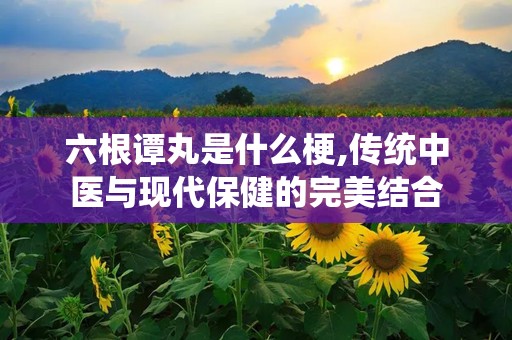 六根谭丸是什么梗,传统中医与现代保健的完美结合