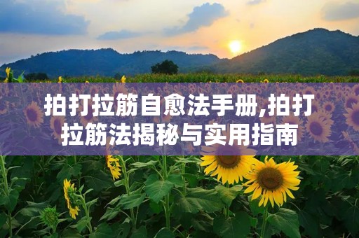 拍打拉筋自愈法手册,拍打拉筋法揭秘与实用指南