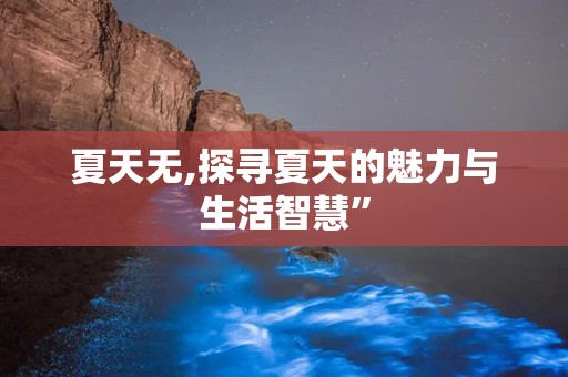 夏天无,探寻夏天的魅力与生活智慧”