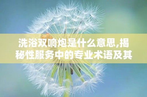 洗浴双响炮是什么意思,揭秘性服务中的专业术语及其含义