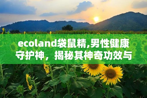 ecoland袋鼠精,男性健康守护神，揭秘其神奇功效与使用指南