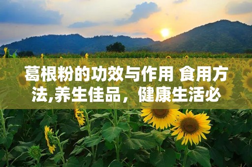 葛根粉的功效与作用 食用方法,养生佳品，健康生活必备