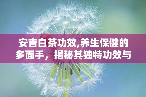 安吉白茶功效,养生保健的多面手，揭秘其独特功效与作用”