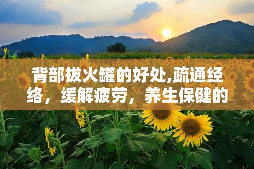 背部拔火罐的好处,疏通经络，缓解疲劳，养生保健的中医秘籍”