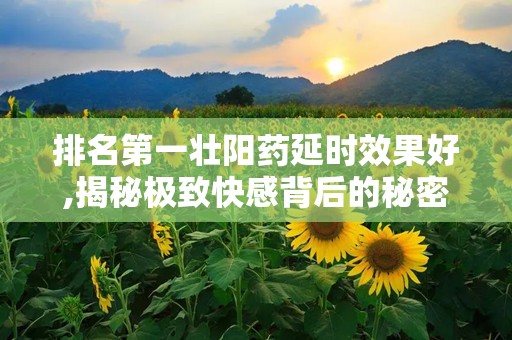 排名第一壮阳药延时效果好,揭秘极致快感背后的秘密