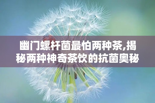 幽门螺杆菌最怕两种茶,揭秘两种神奇茶饮的抗菌奥秘