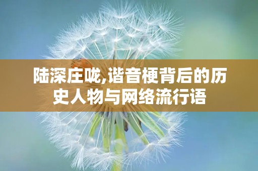 陆深庄咙,谐音梗背后的历史人物与网络流行语