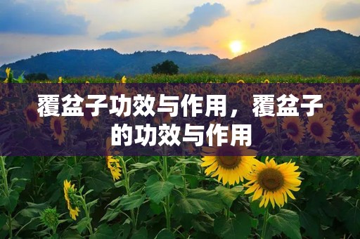覆盆子功效与作用，覆盆子的功效与作用