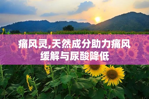 痛风灵,天然成分助力痛风缓解与尿酸降低