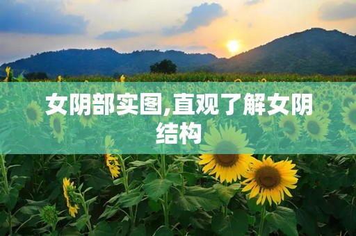 女阴部实图,直观了解女阴结构