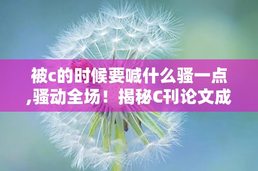 被c的时候要喊什么骚一点,骚动全场！揭秘C刊论文成功秘诀