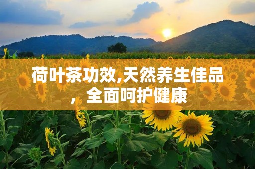 荷叶茶功效,天然养生佳品，全面呵护健康