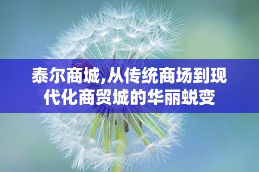 泰尔商城,从传统商场到现代化商贸城的华丽蜕变