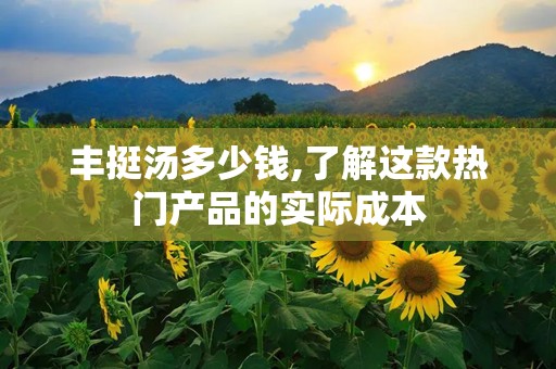 丰挺汤多少钱,了解这款热门产品的实际成本