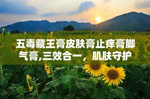 五毒藏王膏皮肤膏止痒膏脚气膏,三效合一，肌肤守护神