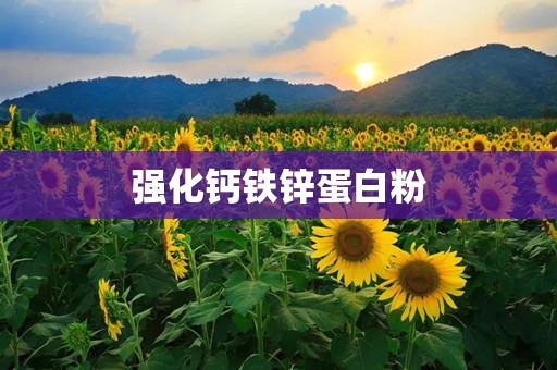强化钙铁锌蛋白粉