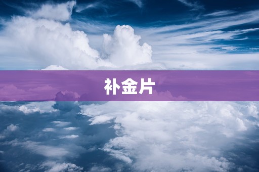 补金片
