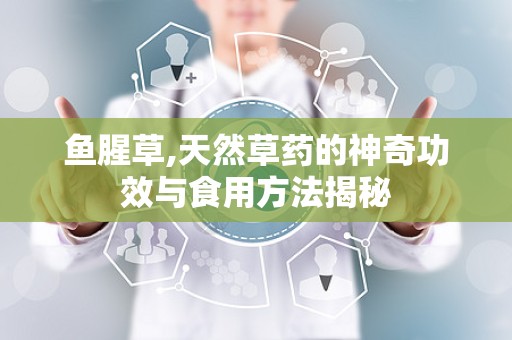 鱼腥草,天然草药的神奇功效与食用方法揭秘