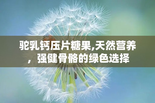 驼乳钙压片糖果,天然营养，强健骨骼的绿色选择