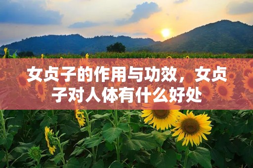 女贞子的作用与功效，女贞子对人体有什么好处
