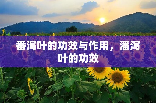番泻叶的功效与作用，潘泻叶的功效