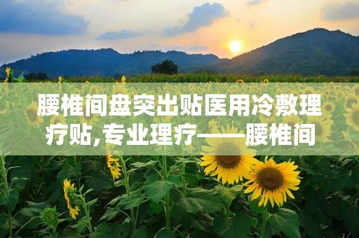 腰椎间盘突出贴医用冷敷理疗贴,专业理疗——腰椎间盘突出冷敷理疗贴使用指南